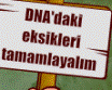 DNA daki Eksiklikleri Tamamlayalm