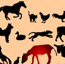 Hayvanlar ve Sesleri