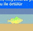 Fosiller Nasl Oluur?