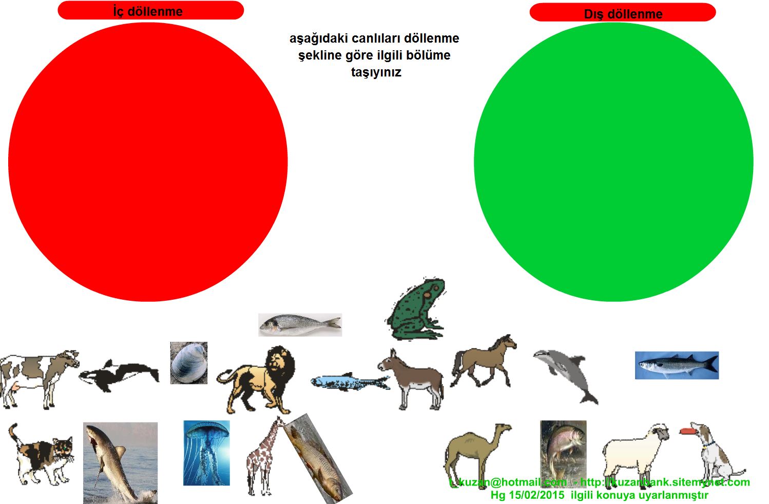  DLLENME DI DLLENME ETKNL