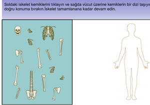 iskelet Sistemi Kemiklerini  Yerletirme Oyunu