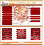 Sindirim Sistemi Etkinlik