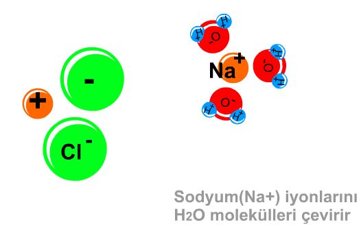 Yemek Tuzunun ��z�lmesi