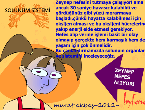 Solunum Sistemi Etkileimli Animasyon