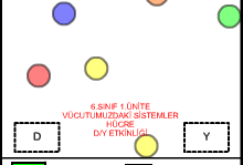 6 snf 1.nite hcre D/Y