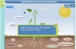 bitkilerin bymesi iin gerekli maddeler..