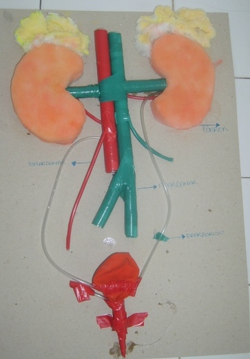 bosaltim sistemi modeli