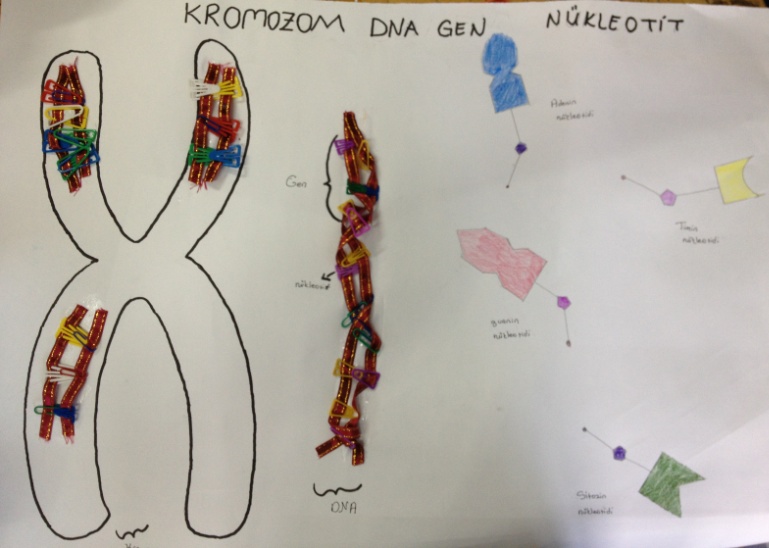 DNA genetik kod