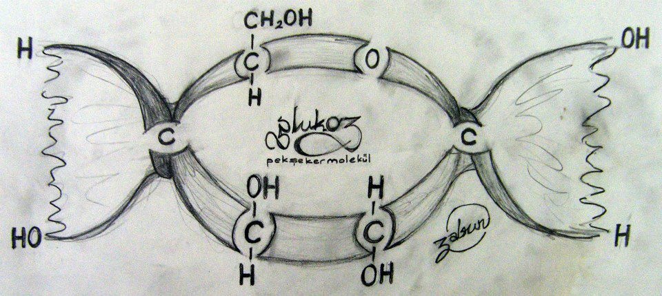 eker Molekl Glikoz