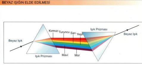 Beyaz Ik Eldesi