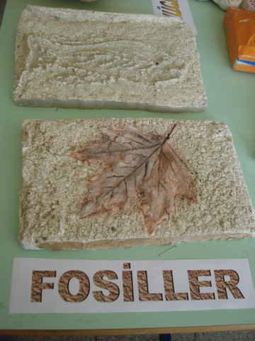 Fosiller