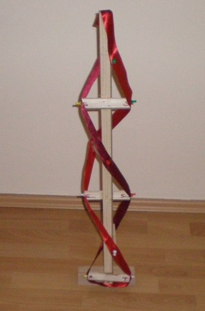 DNA Modeli