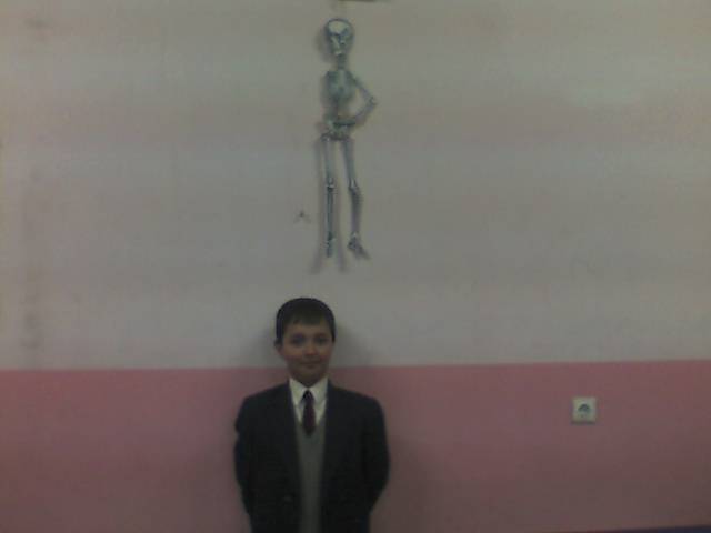 Destek ve Hareket 
