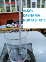 ALKOLN KAYNAMA NOKTASI