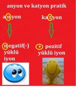 Anyon ve katyon