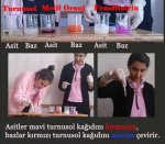 Asit Baz Tayini