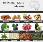 Beyniniz in En yi Gdalar