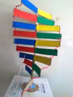DNA modeli