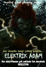 Elektrik adam