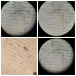 Hcre eitleri ve mikroskoplar