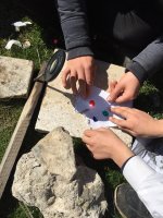 In cisimler zerine etkisi  