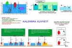 Kaldrma Kuvveti Konu zeti