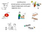 Modifikasyon...