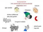 Mutasyon Nedir?