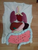 Organlarımız Kıyafeti 2