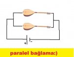 Paralel balama