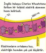 letken