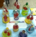 Akcier Modeli