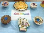 Hcre Modeli