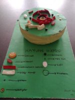 H�cre Modeli