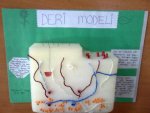 Deri
