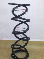 DNA Modeli