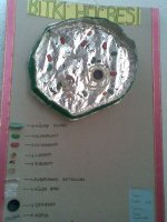 Bitki H�cresi ve Yap�s�