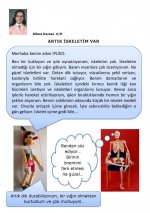 Kemik Modeli