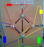 Kan Guruplarnn Elektrik emas
