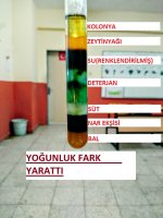 YOUNLUK FARKI