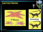 eeysiz reme resmi