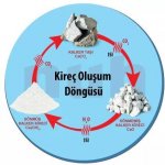 kire oluum dngs