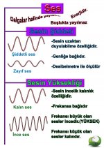 Sesin ozellikleri