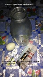 YUMURTA EYE NASIL GRD?DENEY(RESML ANLATIM)