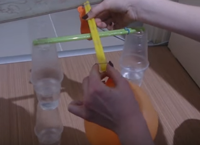 Havann arl olduunu nasl anlarz?
