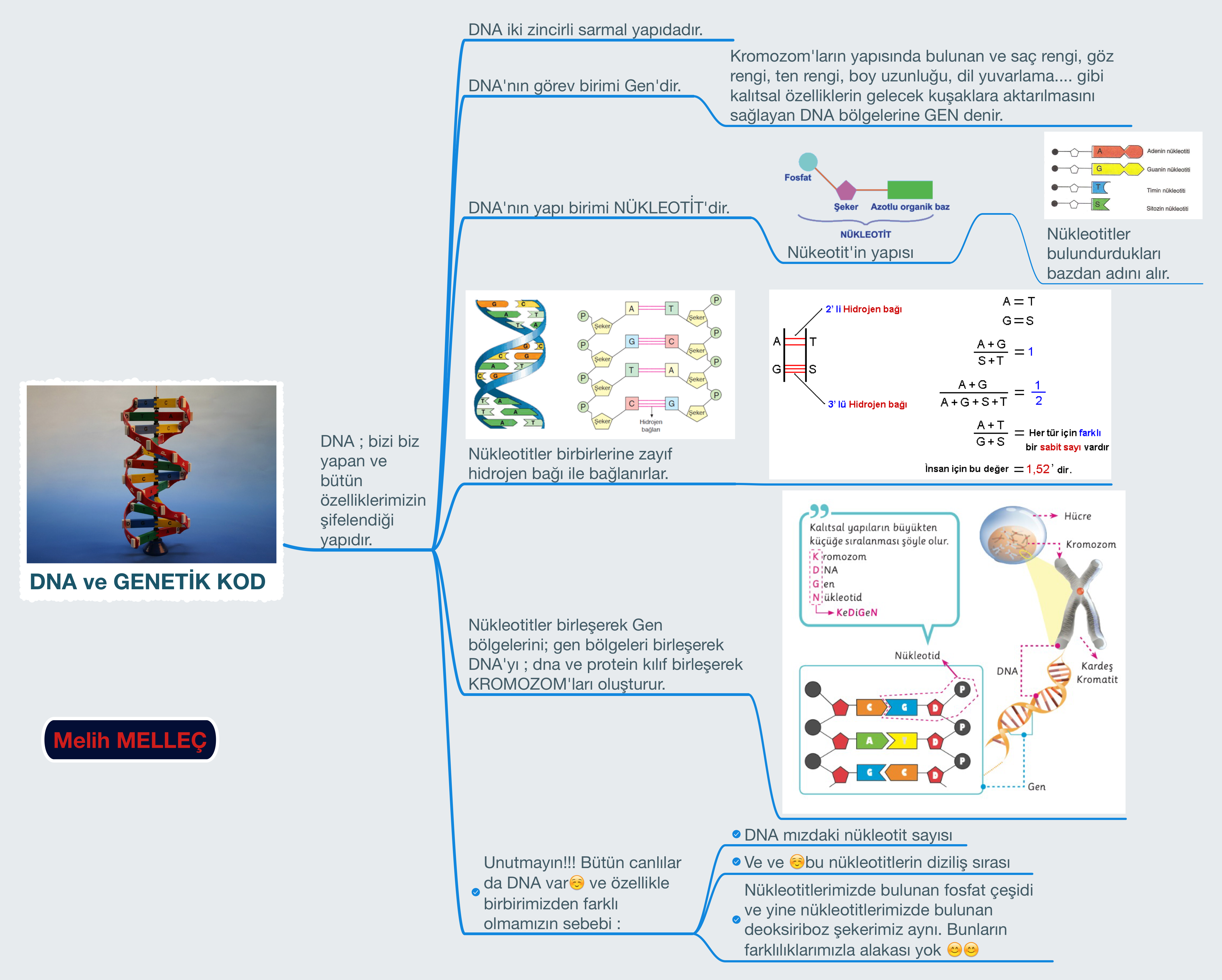 dna ve genetk kod