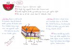 7. Snf - Deri_Burun_Dil Konu Anlatm