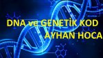 8.SINIF DNA VE GENETİK KOD 5