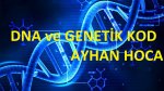 8.SINIF DNA VE GENETK KOD 5