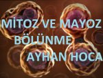 8.SINIF MTOZ VE MAYOZ BLNME 7